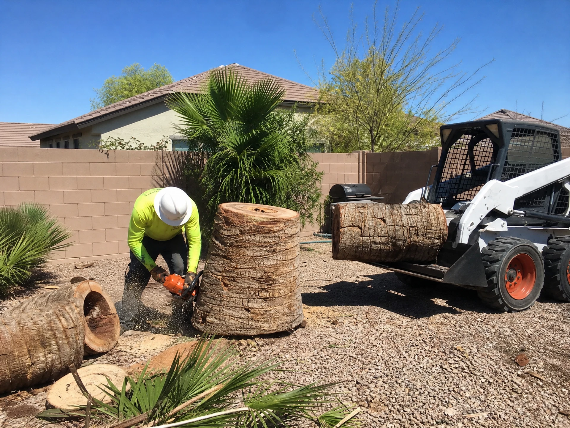 Worker cutting a palm tree trunk with a chainsaw during a tree removal in a Phoenix backyard